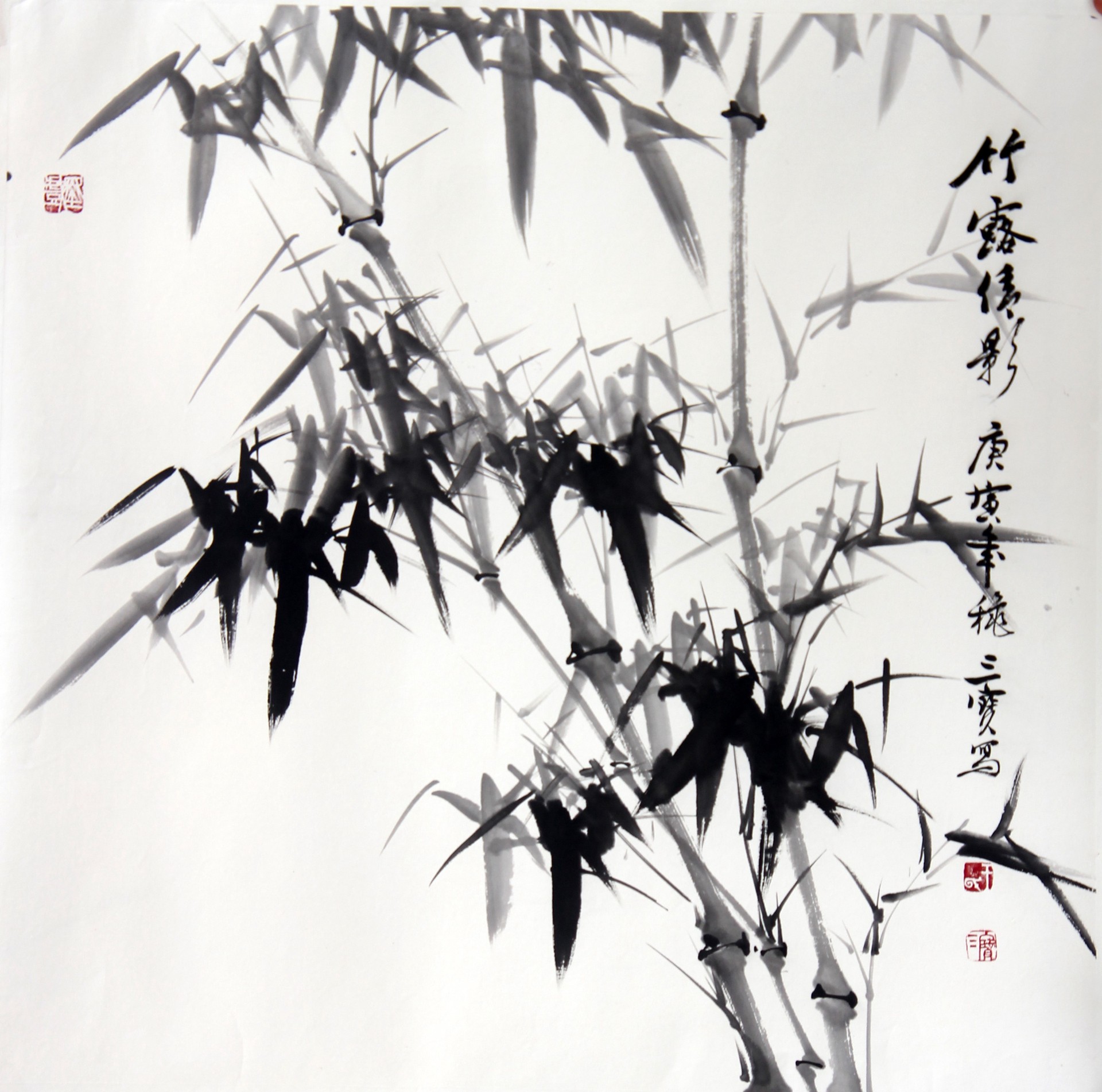 竹露倩影
