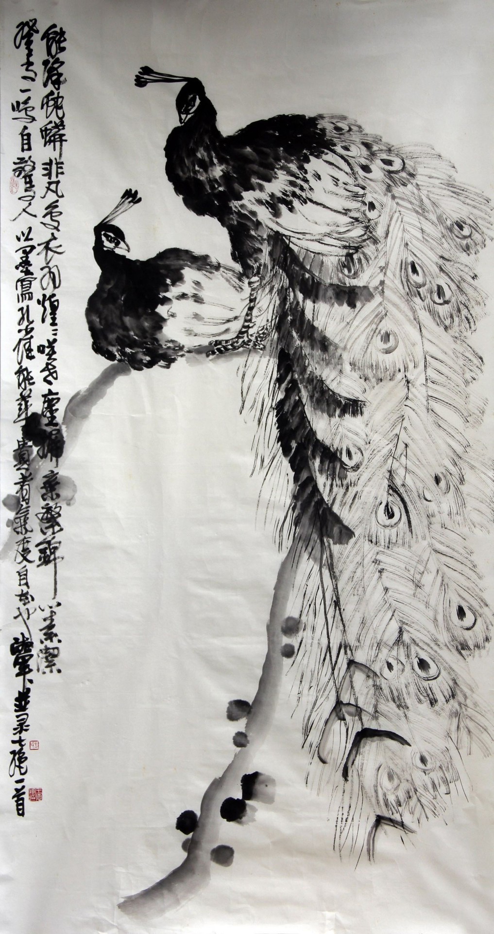 孔雀图