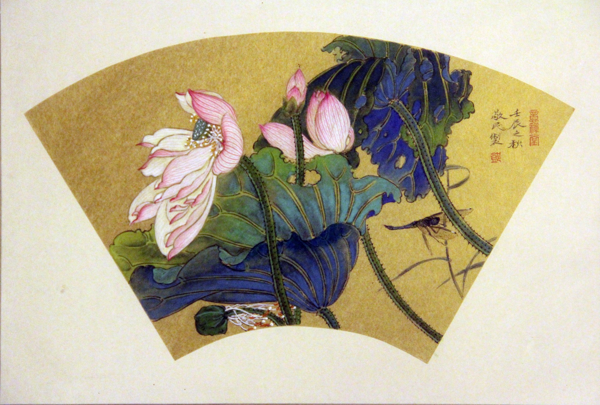 荷花